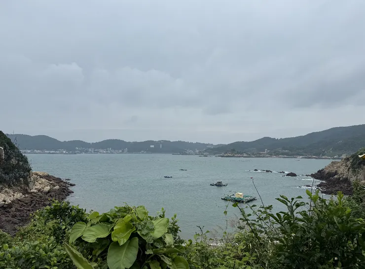 從夫人咖啡館望出去的景致，找找看「枕戈待旦」在哪裡呢？