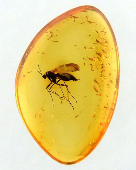 圖片來自pinterest