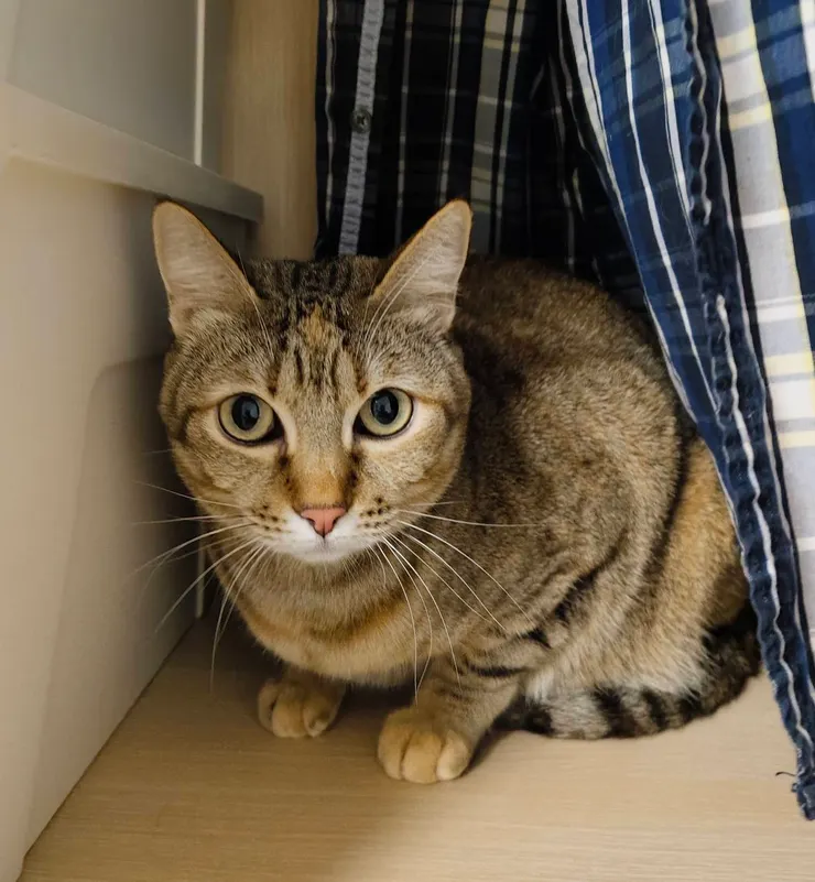 「朵朵」 照片主人授權