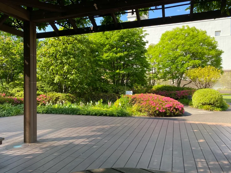 在新宿伊勢丹屋頂花園野餐面對的風景