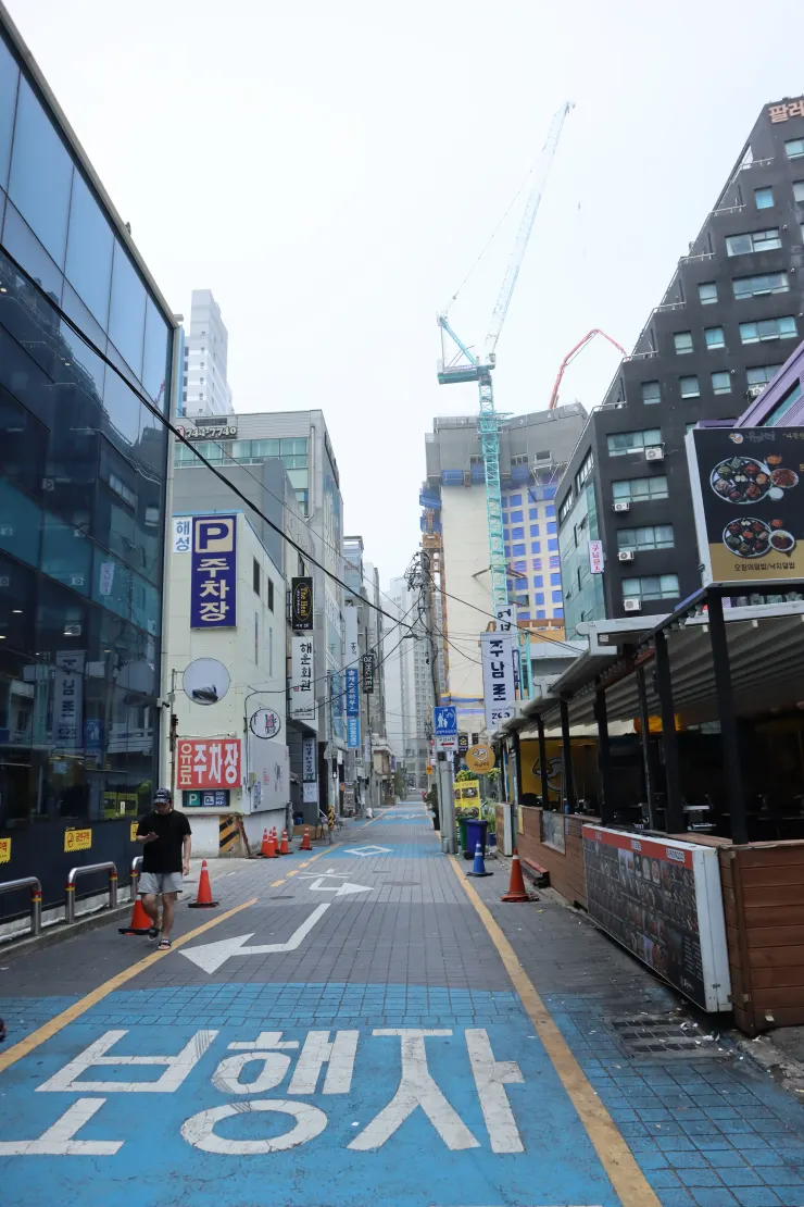 霧氣很重，卻也增添了一些美感。