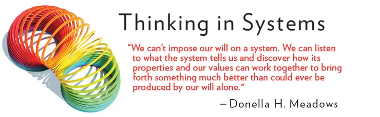  Thinking in Systems: A Primer 