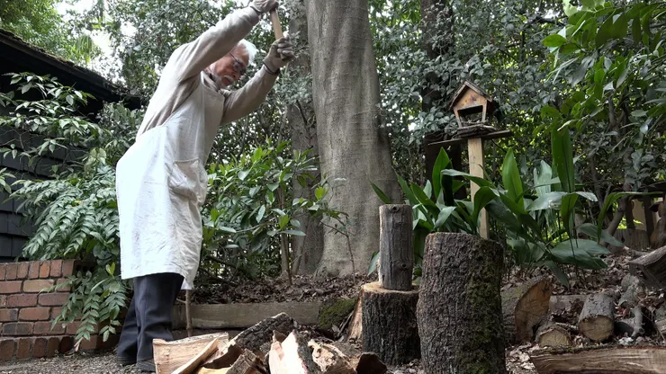 劇照提供：甲上娛樂