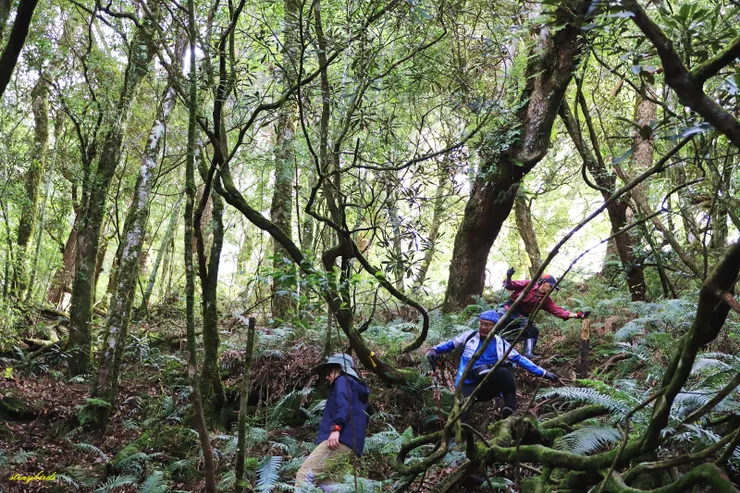 ▲折返3K登山口