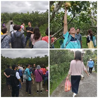 採柚活動趣