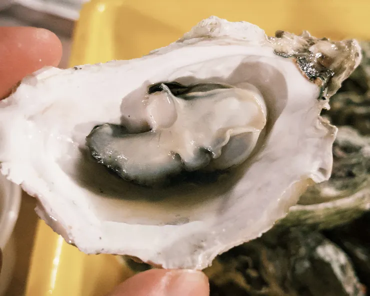 馬公在地海鮮｜濃郁海味的爆擊 　「這一口，比什麼名產都誠實。」