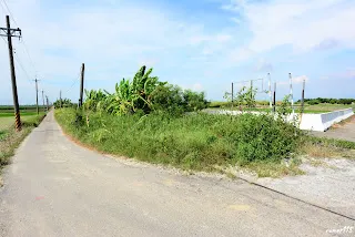 南84平交道(向北拍)