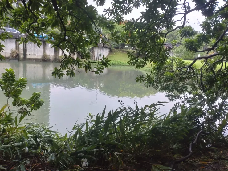 南港公園湖