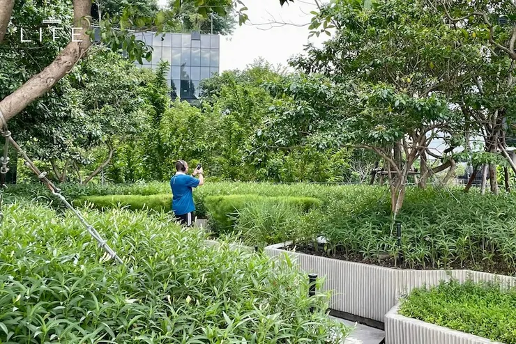 圖片取自 The Standard – 20 อาคารในกรุงเทพฯ ที่แค่เดินเข้าไปก็ได้สัมผัสกับธรรมชาติ!