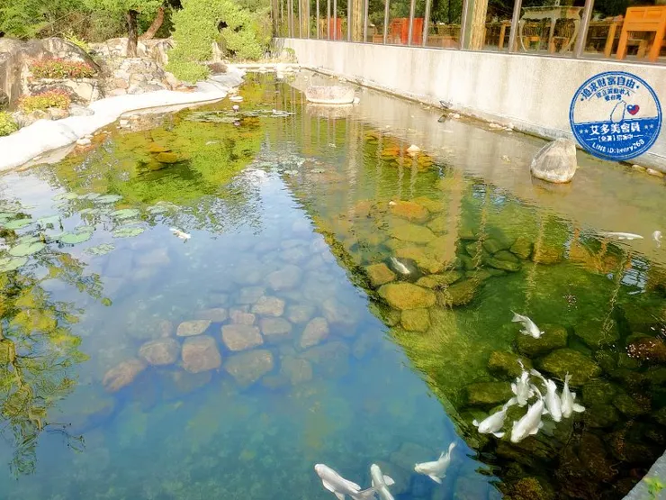 南投國姓新景點｜春水山林