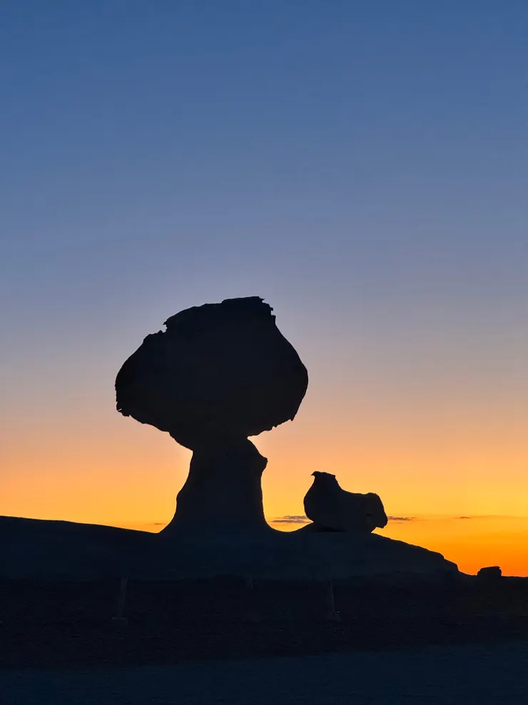 蘑菇燉雞湯….感覺很好喝（？