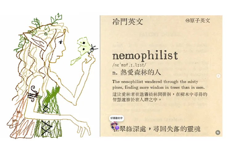 熱愛森林的人