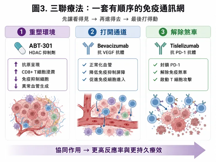 安邦生技：免疫治療的「星鏈計畫」｜藥時事Drugnews