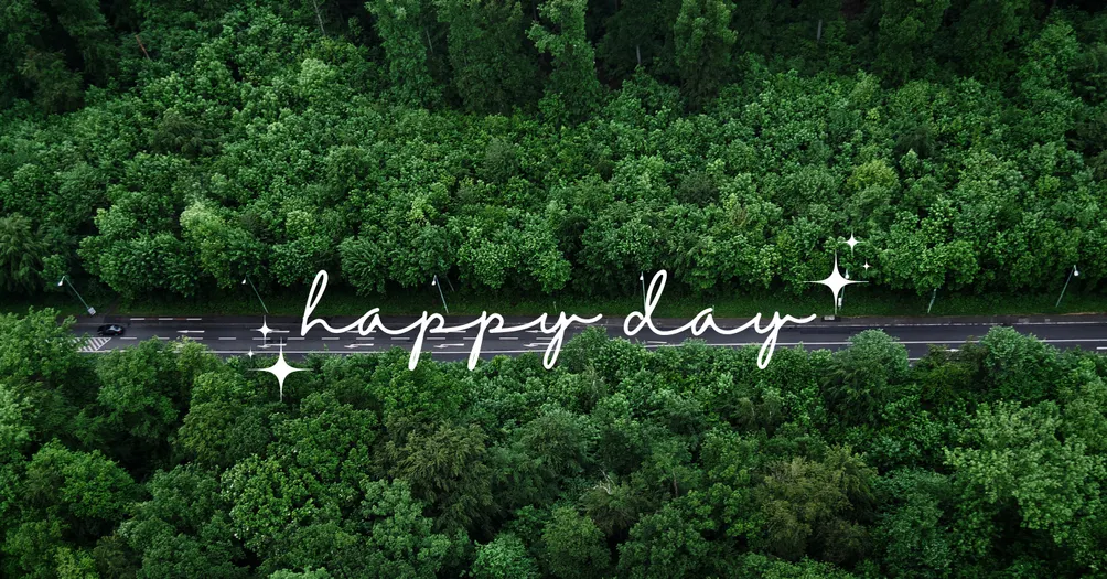 Shimmer療癒生活好好玩