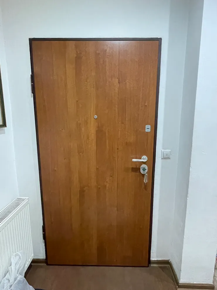 這種樣式的大門適用