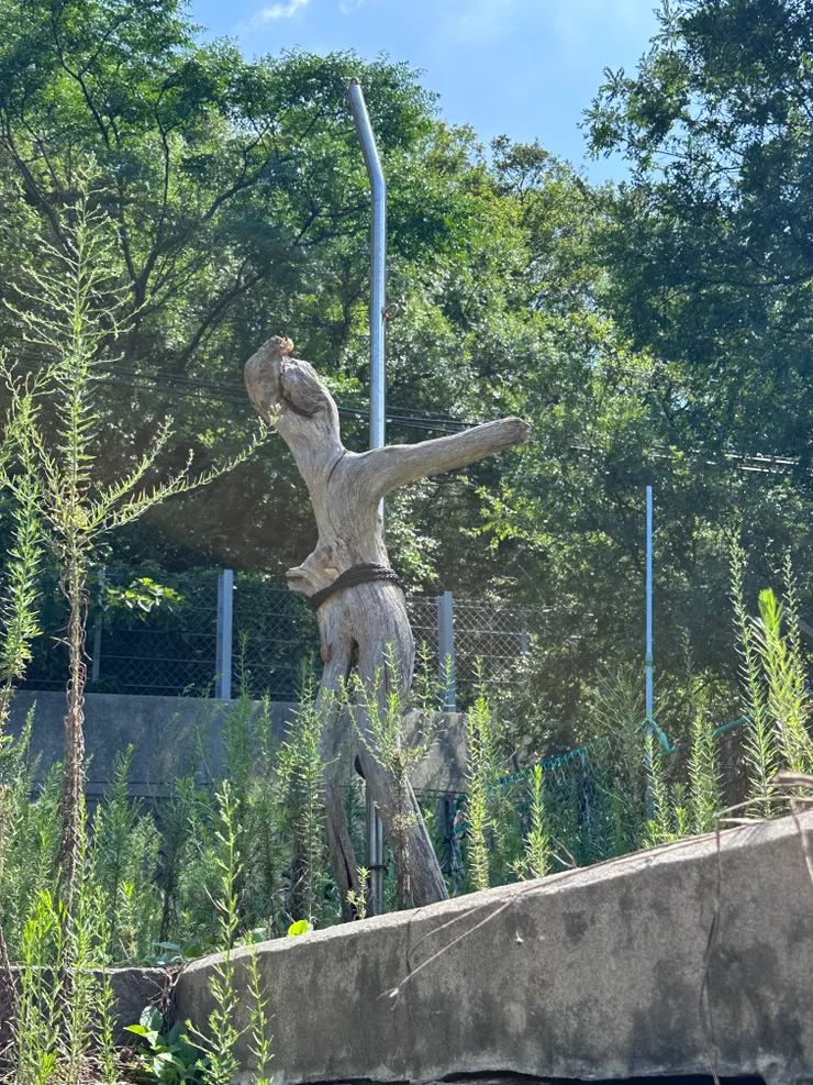 路邊隨意的東西, 也是充滿了藝術感