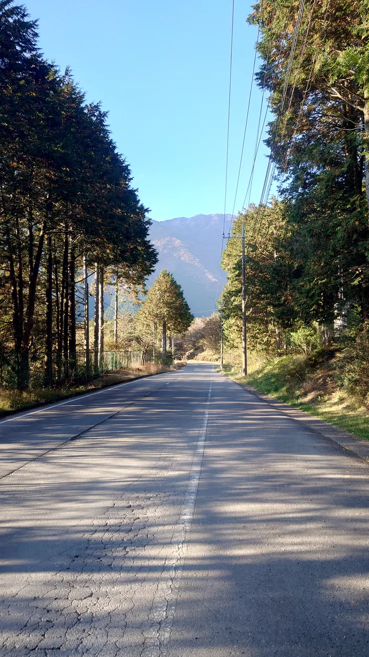 路十分平坦很好走