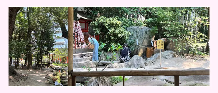 生田の森的風景一角：龍芳庵、金龍泉｜2025.08.20拍攝