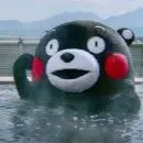 石刻一熊的沙龍