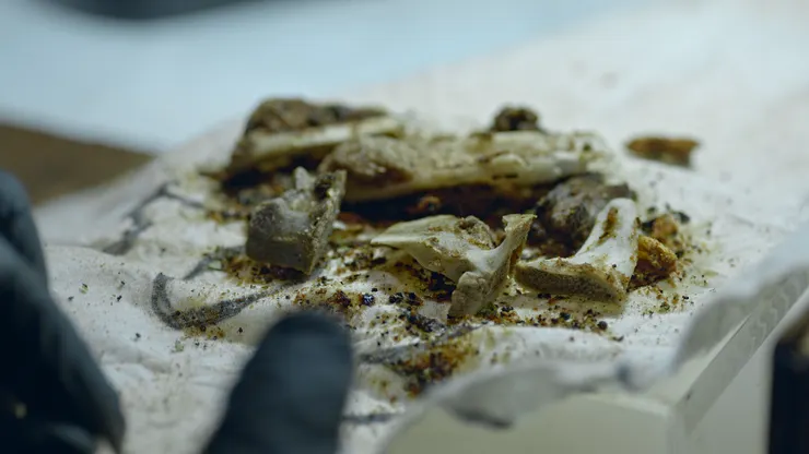 《由島至島》電影劇照／廖克發 提供