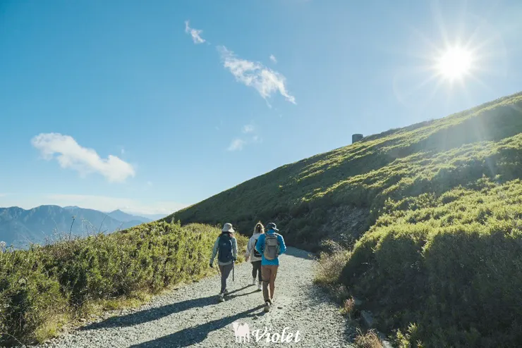 合歡山主峰步道
