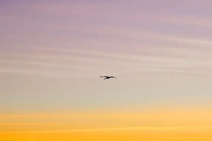 Photo by Rober González on Unsplash