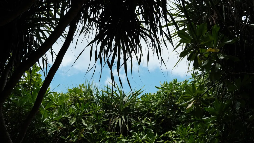 Susu‎ ꕤ˖⸝⸝₊˚ 的生活隨筆