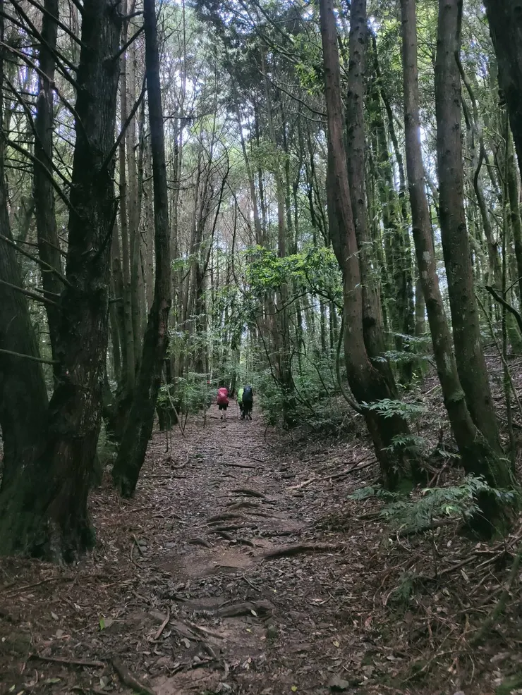 或許這真的是最後了，但只要山還，我想我們總是會繼續走著的。