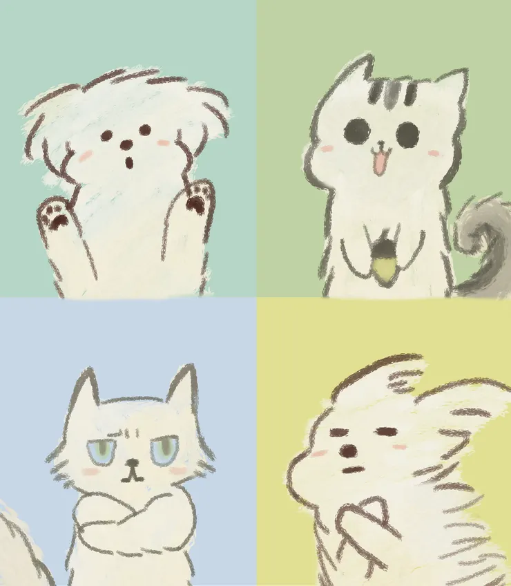 白色系的表情貓貓狗狗