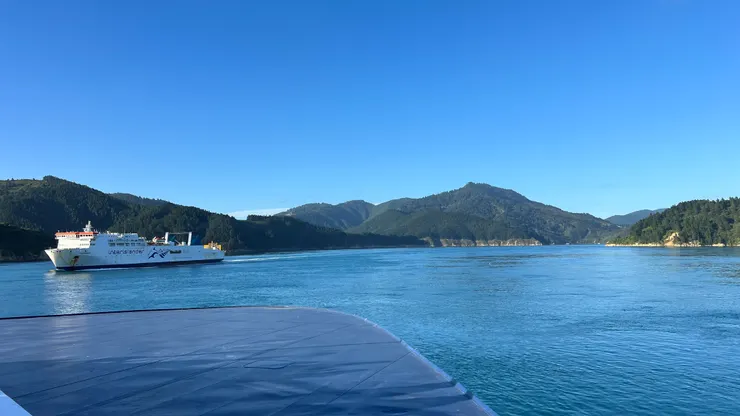 2023 跨越庫克海峽中