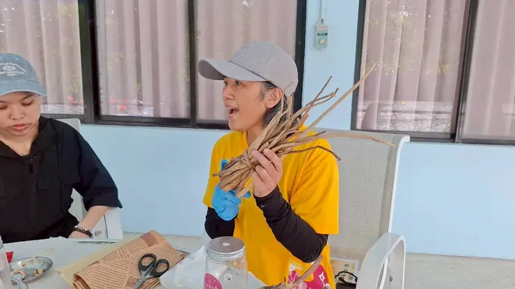 認識布袋蓮梗DIY