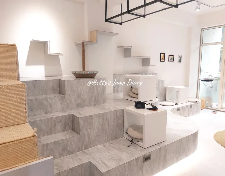 ▲踏踏咖啡x養憩動物血液中心-2F/圖片來源：Betty's Jump Diary