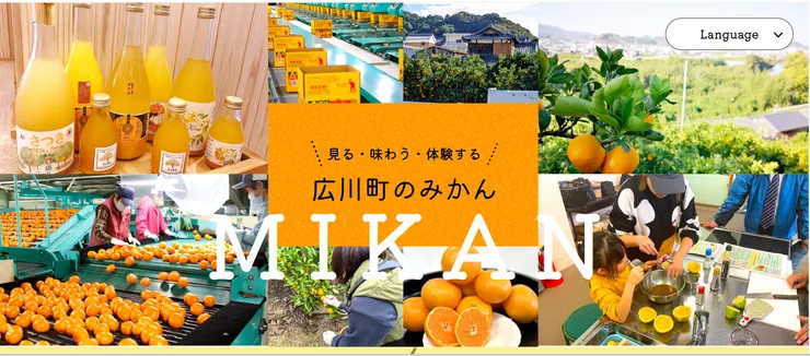 圖片來源：広川町官網