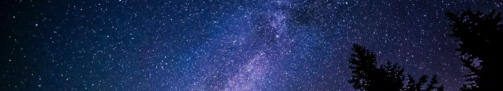 木九飛九-之-真・宇宙流浪漢