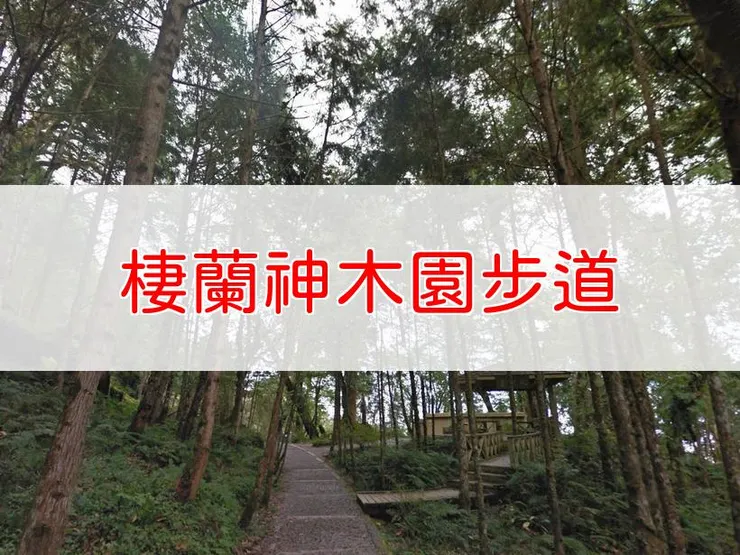 【宜蘭】棲蘭神木園步道 | 全長里程：3.1公里 | 難易度：低