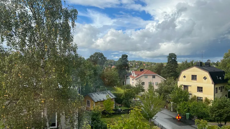 家家戶戶都被綠色植物包圍