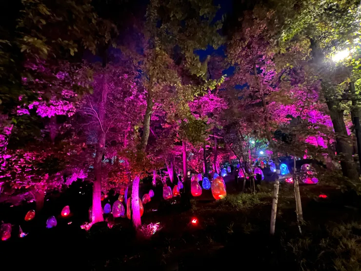 TEAM LAB的燈光作品