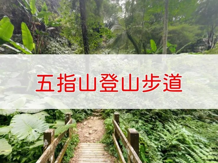 [新竹]五指山登山步道：竹東的自然與靈氣之旅
