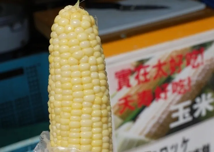 真的又脆又甜,臺灣真的沒吃過這樣口感的玉米