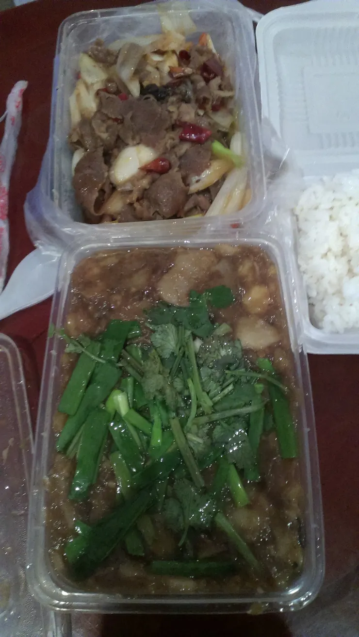 一盒飯一盒菜的盒飯飯