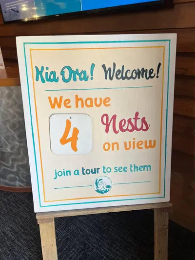 《紐西蘭。景點》皇家信天翁中心，瞬間被圈粉