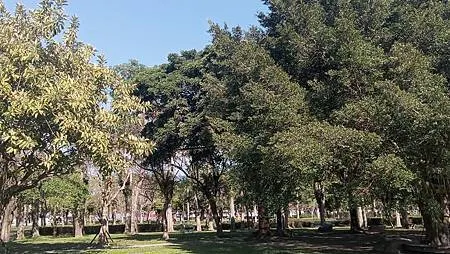 [宜蘭旅遊]宜蘭運動公園，運動設施機能完善、大面積、風景特佳