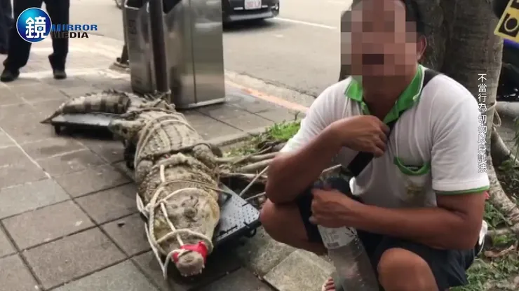 人家抗議是直接載鱷魚到行政院抗議😂