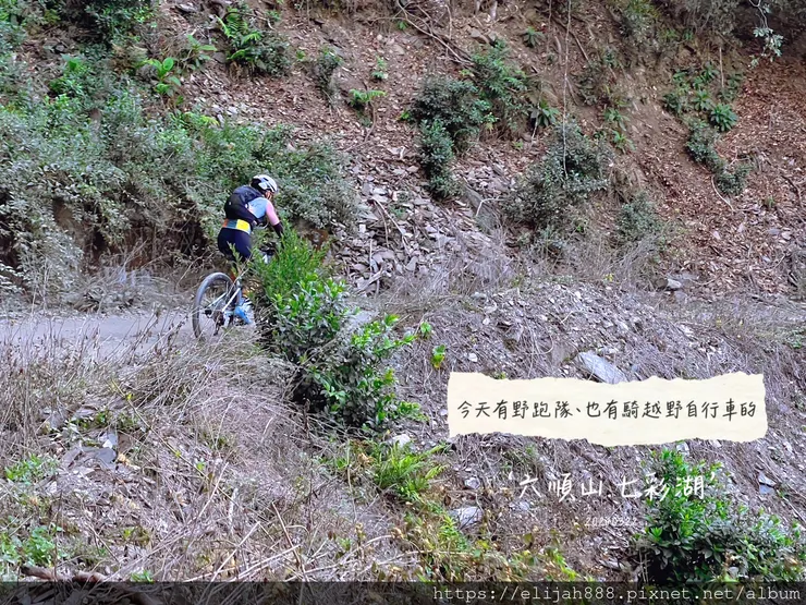 【丹大林道.六順山.七彩湖】南投縣地利村哈木山民宿/丹大林道