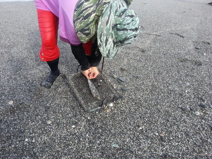 誘捕蟬蟹（浪花蟹）的陷阱