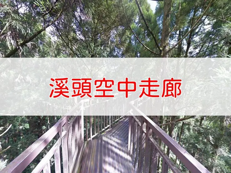 【南投】溪頭空中走廊 | 全長里程：0.18公里 | 難易度：低