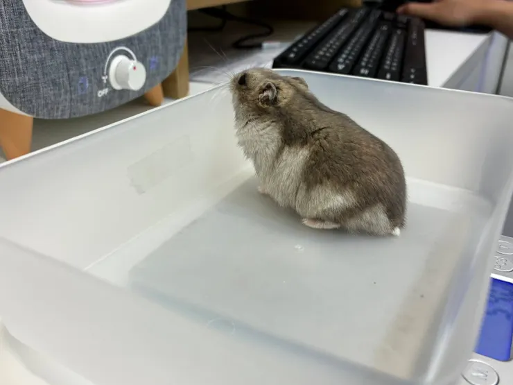 呼，這樣我才有安全感