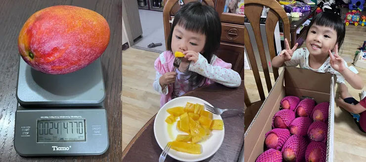 雙寶老爹006208定期定額記錄，2024年08月