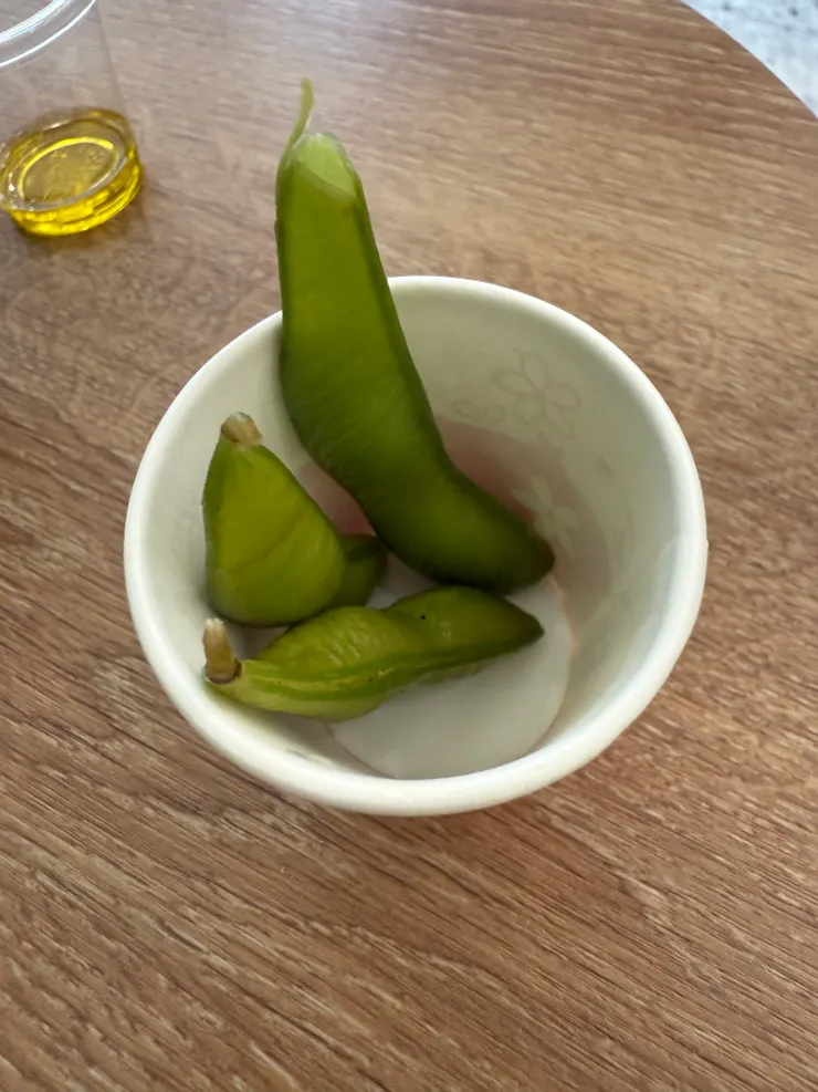 被招待的毛豆試吃