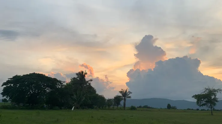 拍摄于昨天傍晚